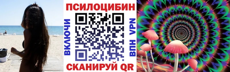 Купить где  Саки  Псилоцибиновые грибы ЛСД 
