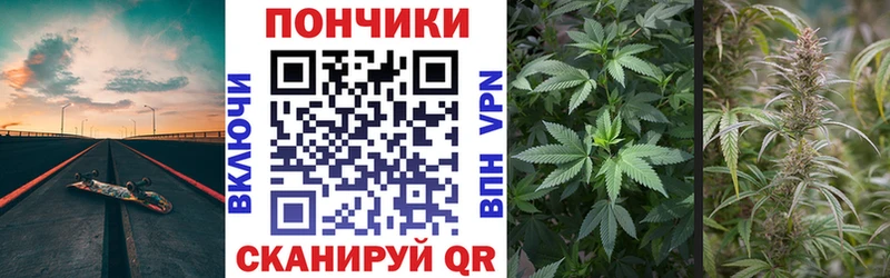 Конопля планчик  Купить где  Саки 
